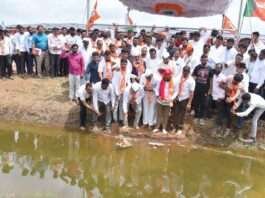 भोजापूर चारी